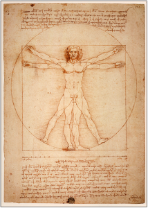 Da Vinci el Hombre de Vitruvio