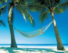 Island Paradise Gran Formato
